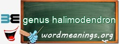 WordMeaning blackboard for genus halimodendron